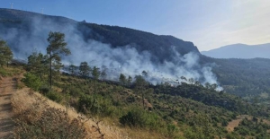 Mersin’de ormanlık alanda yangın