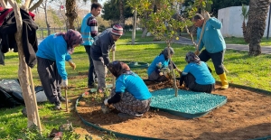 Silifke’de park ve bahçeler güzelleşiyor